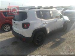 جيب رينيجيد